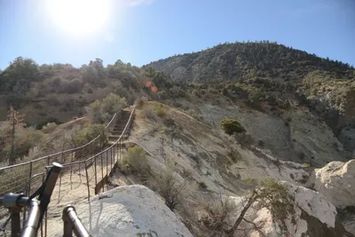 DSC_6282 (Large).JPG